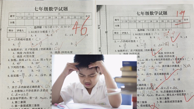 上海浦东中考辅导班-上海浦东中考语文数学英语课外补习辅导班哪家好/多少钱