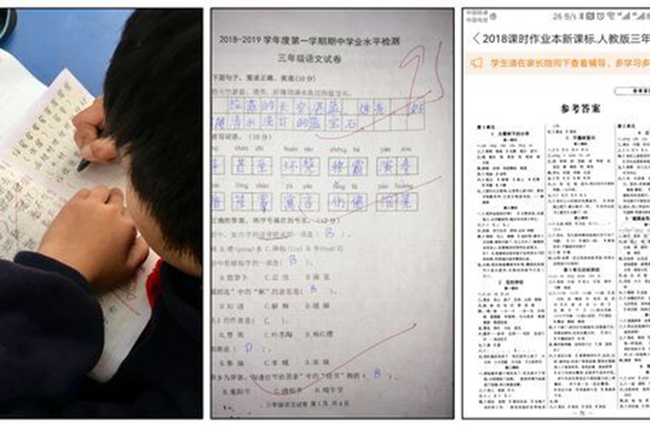 上海普陀高二辅导班-上海普陀高二语文数学英语课外补习辅导班哪家好/多少钱