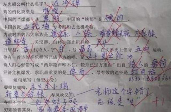 上海金山辅导班-上海金山语文数学英语课外补习辅导班哪家好/多少钱