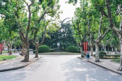 上海宝山高三辅导班-上海宝山高三语文数学英语课外补习辅导班哪家好多少钱 上海宝山高三辅导班-上海宝山高三语文数学英语课外补习辅导班哪家好多少钱